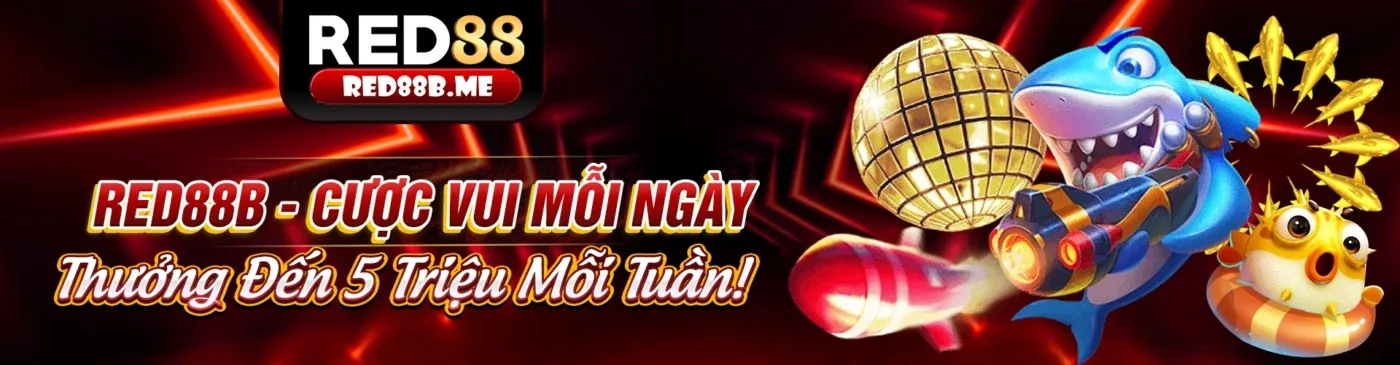 Chính Sách Cookie của Sun789 Trang Chủ Chính Thức